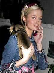 paris-hilton15.jpg